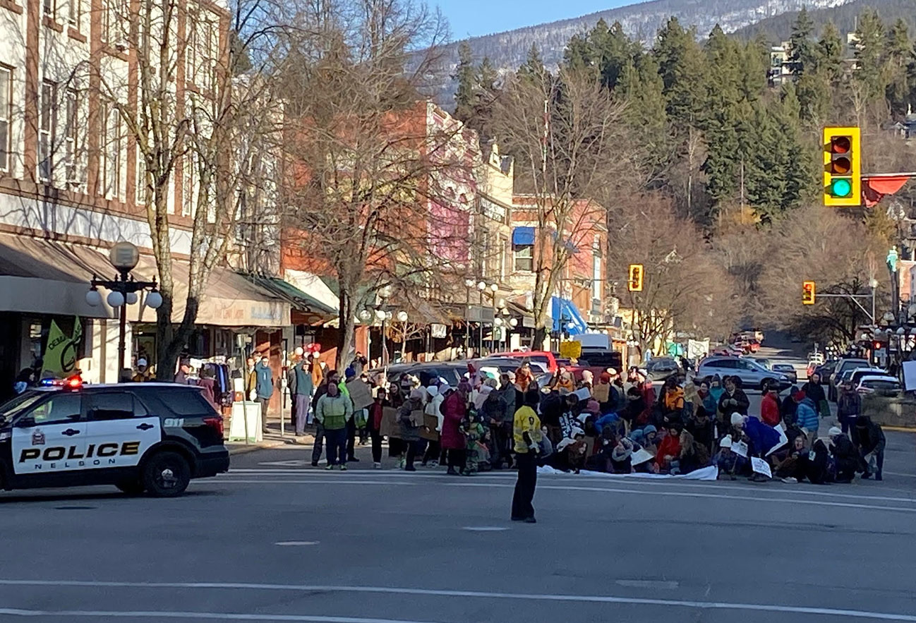Smaller numbers at Fridays for Future Nelson Climate Strike