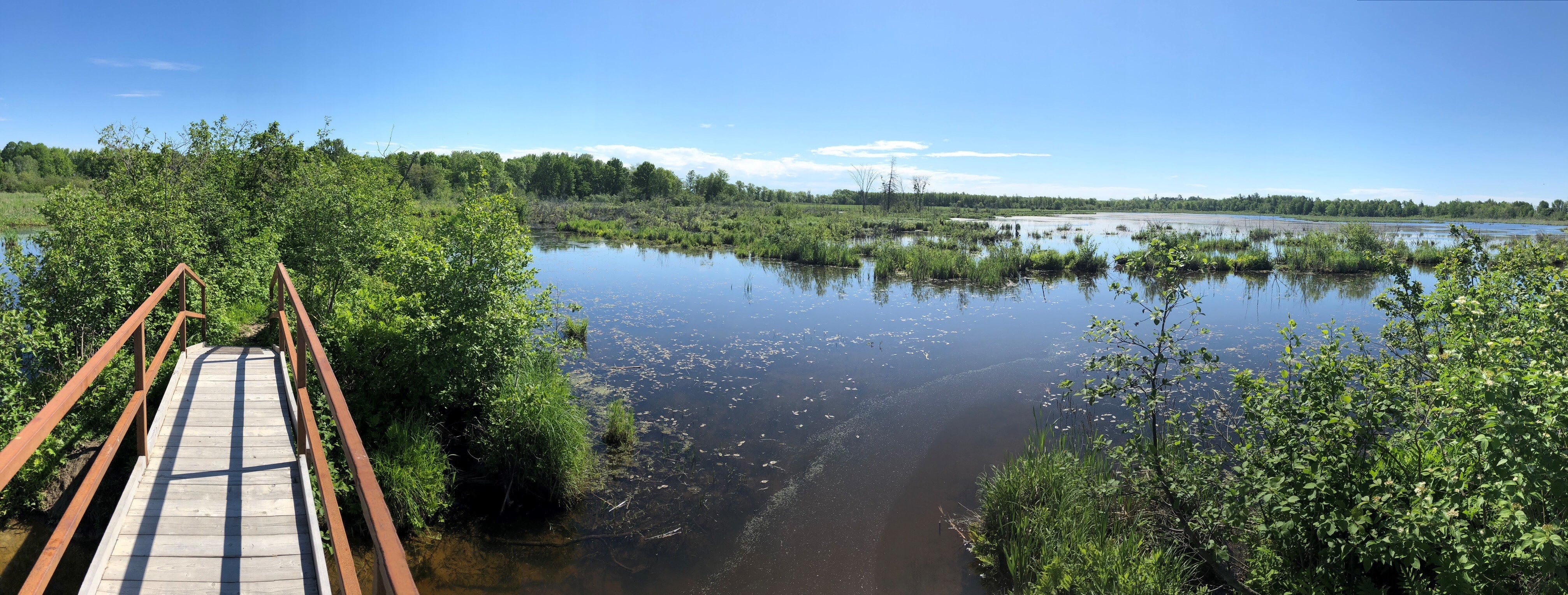 Op/Ed: Getting wetland conservation right will help solve many issues