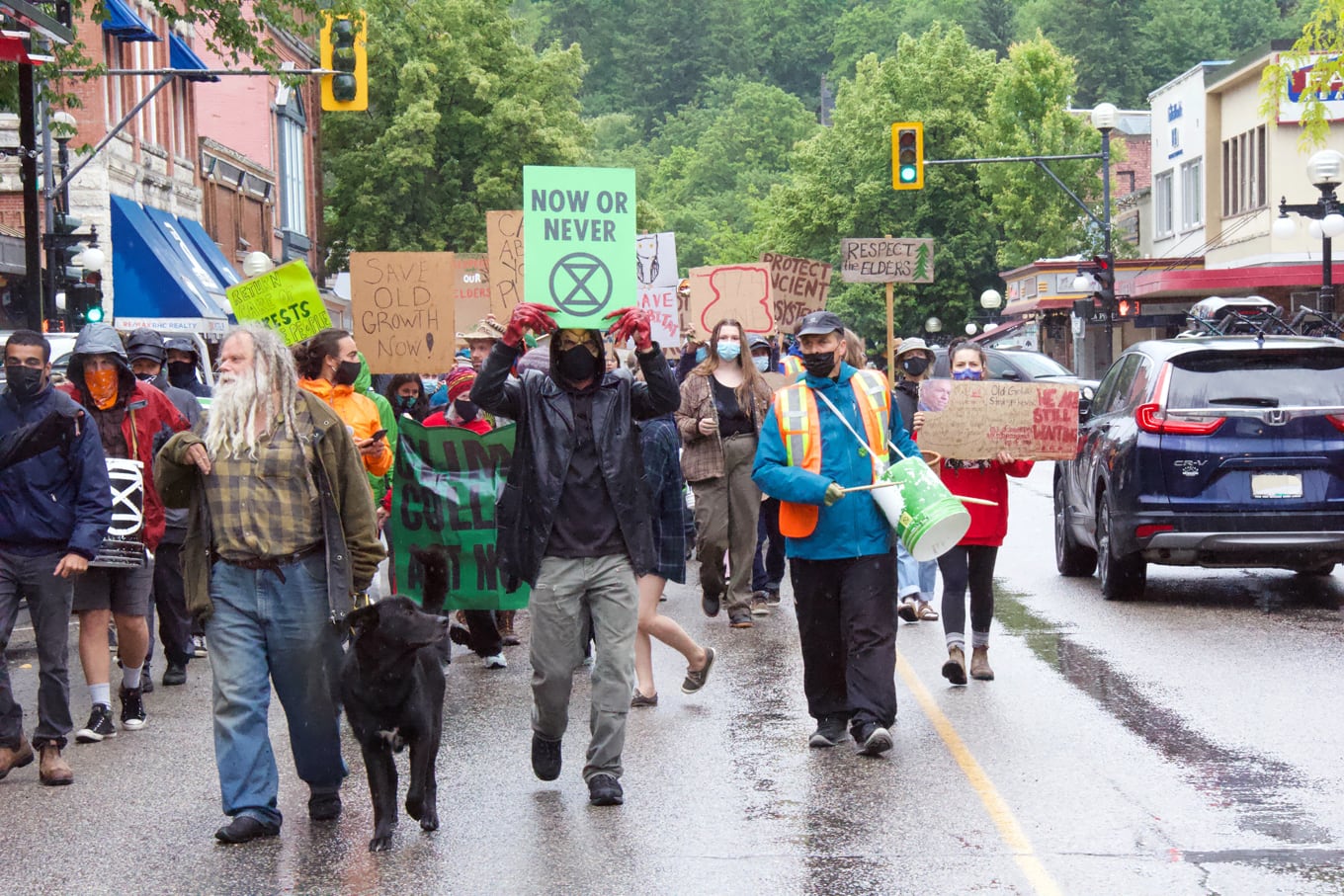 Extinction Rebellion West Kootenay stages rally in Nelson against old-growth logging in BC