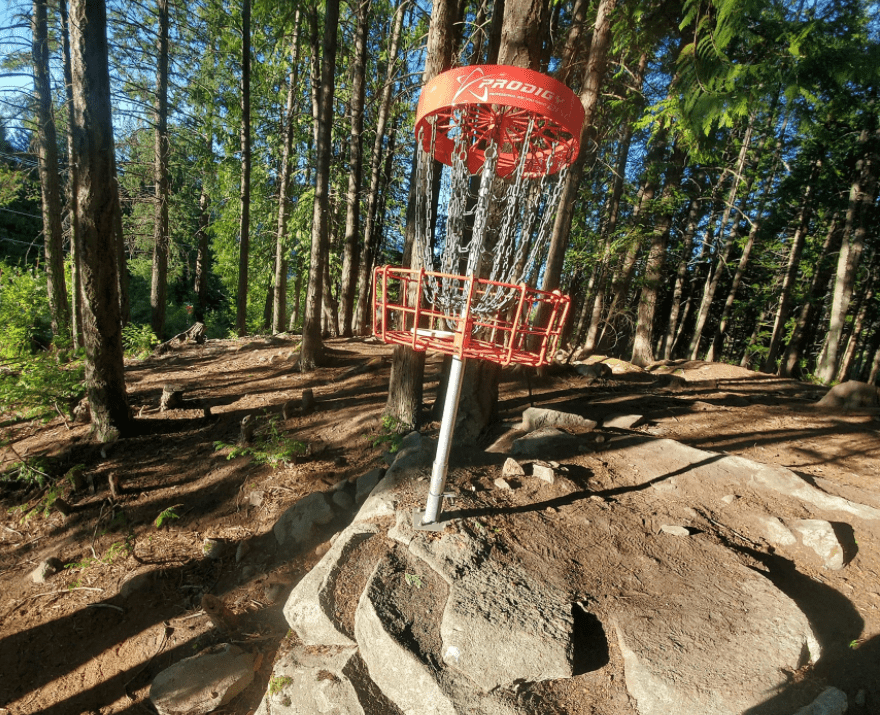 Pilot putt turns into long distance drive as disc golf society gets nod on course location