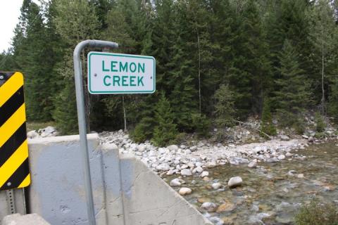 Defendants appeal Lemon Creek fuel spill class action decision