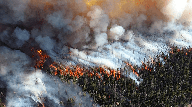 Surge in wildfires around B.C. causing increasing poor air quality