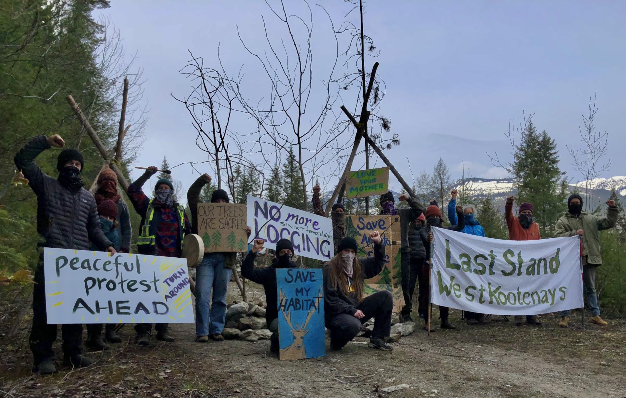 Protestors gather to stop plan to cut old growth forest near Argenta