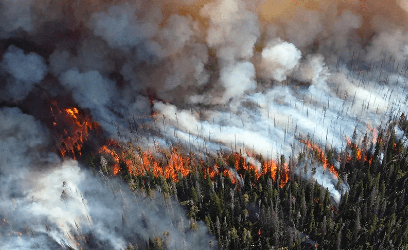 Regional district sets course to navigate through new wildfire risk reduction waters