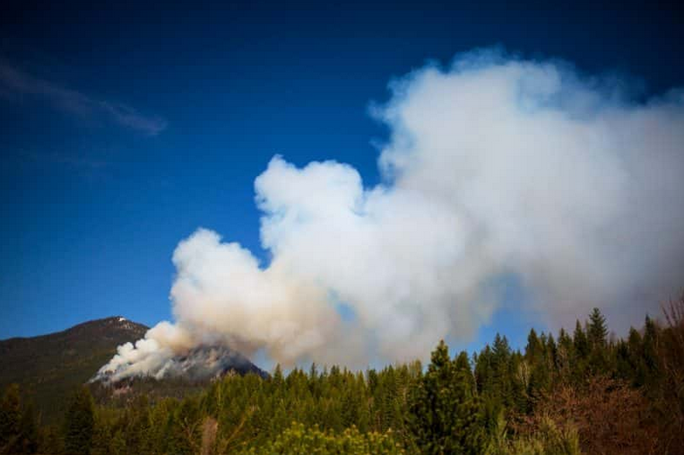 Adapting to climate change: several projects to reduce wildfire risk announced