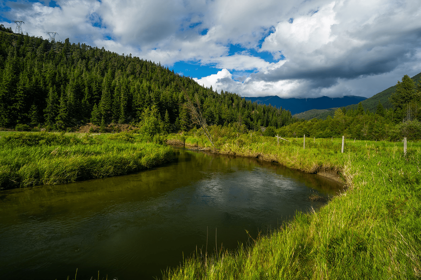 Op/Ed: Conserving forest, grassland and wetland ecosystems in British Columbia has global impact