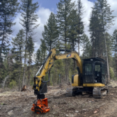 Kootenay Boundary forestry projects to help utilize waste wood or mitigate wildfire risk