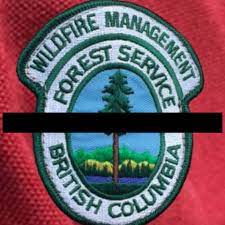 Four wildfire firefighters killed in crash near Cache Creek