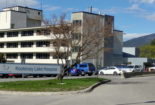 Motion made to advocate for establishing kidney dialysis service in Nelson