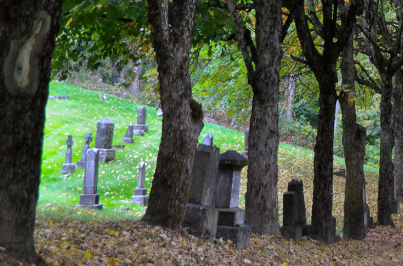 Update: natural burials approved for city’s cemetery