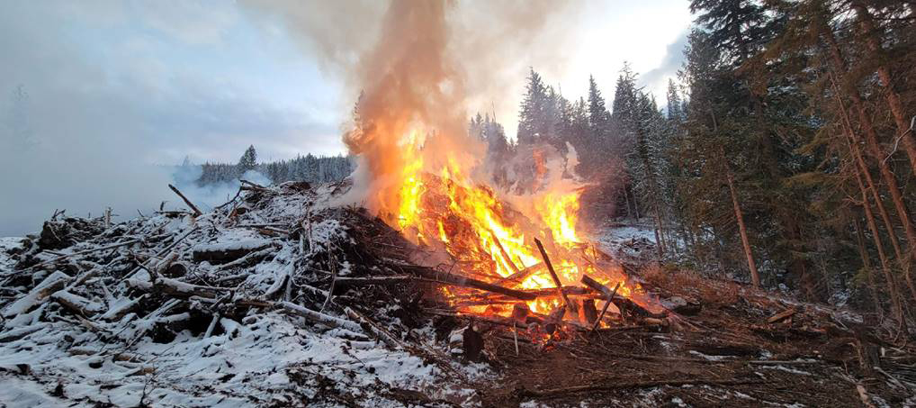 Anderson Creek Timber Initiates Responsible Controlled Burn Above Mountain Station