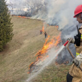 Nelson Fire & Rescue Services successfully completes prescribed burn