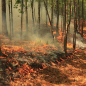 Prescribed burn planned for Selous Creek area just outside of city