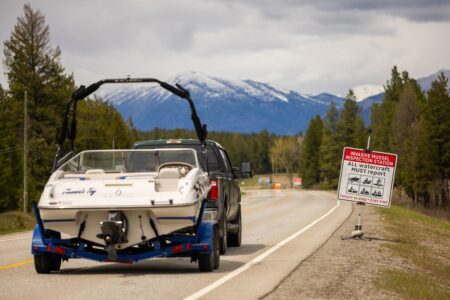 Diligent monitoring helps keep potentially disastrous mussels out