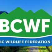 BCWF Fishty-50 jackpot is $175,000 and rising