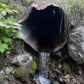 Slocan Valley water users group protests proposal for logging in sensitive watershed