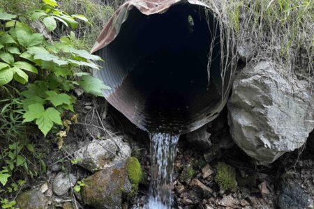 Slocan Valley water users group protests proposal for logging in sensitive watershed