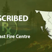 BC Wildfire Service conducts prescribed burn in Kokanee Creek area