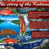 Three large interpretive signs now on display to highlight Return of the Kokanee Salmon Project