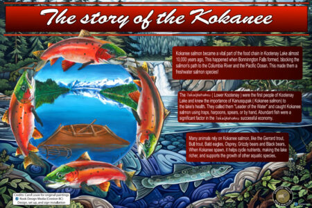 Three large interpretive signs now on display to highlight Return of the Kokanee Salmon Project