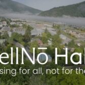 Online petition started in opposition to Hallō Nelson project