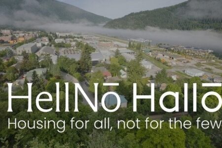 Online petition started in opposition to Hallō Nelson project