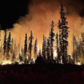 Cooler heads prevail as wildfire situation downgraded in Slocan Valley