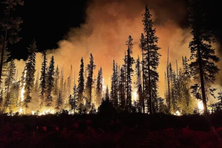 Cooler heads prevail as wildfire situation downgraded in Slocan Valley